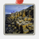 Recherche de paysage ornements Pittoresque