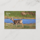 Recherche de courant cartes visite Faune