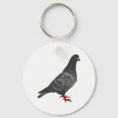 Recherche de pigeons porteclés Animal de compagnie