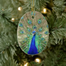 Recherche de paon bleu ornements Oiseau