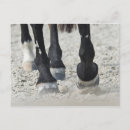 Recherche de parties du corps cartes postales De près