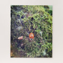 Recherche de coccinelles puzzles Pour tous