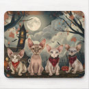 Recherche de chat sphynx tapis souris Halloween