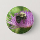 Recherche de chardon badges Abeille