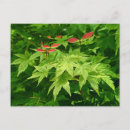 Recherche de gouttes pluie cartes postales Printemps