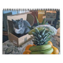 Recherche de vacances de chat bureau fournitures 2025