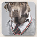Recherche de chocolat labrador dessous de verres Animaux