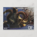 Recherche de poulpes cartes postales Grèce