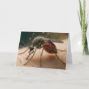 Recherche de moustique vœux cartes Humour