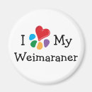 Recherche de weimaraner magnete Weimaraners