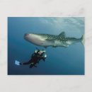 Recherche de plongée sous marine cartes postales Nature