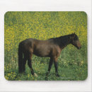 Recherche de mustang sauvage tapis souris Plomb langrish