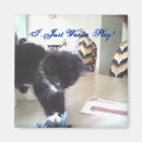 Recherche de pelucheux magnets Minou