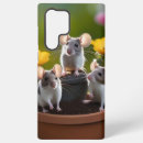 Recherche de souris coques Rongeur