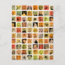 Recherche de créature étrange cartes postales Visages étranges