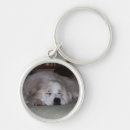 Recherche de pyrénées porteclés Grand