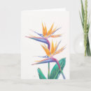 Recherche de tropiques vœux cartes Fleurs