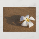 Recherche de aucunes personnes cartes postales Nature