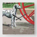 Recherche de dalmatien art Animaux