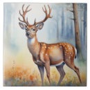 Recherche de paysages carreaux Faune
