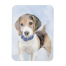 Recherche de chien beagle magnets Chiot