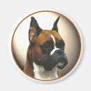 Recherche de animaux domestiques magnets Maman