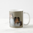 Recherche de chiens berger shetland tasses Chien de berger