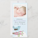 Recherche de oiseaux 10x23 invitations Mignon