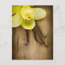 Recherche de vanille cartes postales Fleur