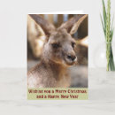Recherche de kangourou noël cartes Xmas