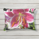 Recherche de fleur lys coussins Botanique