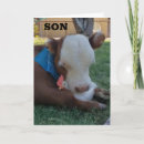 Recherche de vache drôle vœux cartes Pour lui
