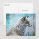 Recherche de chien sauvage cartes postales Nature