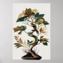 Recherche de arbre plante posters Japon
