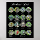 Recherche de oiseau jardin posters Oiseaux