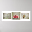 Recherche de door posters Comté de porte