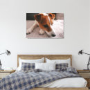 Recherche de jack russel toiles Animal
