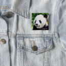 Recherche de bambou badges Animaux