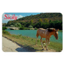 Recherche de cheval magnets Lac