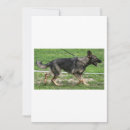 Recherche de de berger allemand invitations Animaux de compagnie