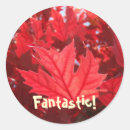 Recherche de feuille rouge autocollants Toute personne