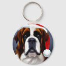 Recherche de saint bernard accessoires Peinture