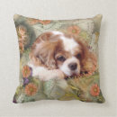 Recherche de king coussins Blenheim