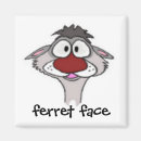 Recherche de furet magnets Animaux