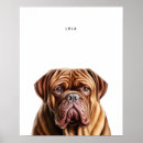 Recherche de chien de dogue bordeaux posters Mastiff