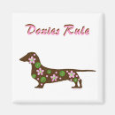 Recherche de doxies Chien de saucisse