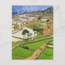 Recherche de yunnan cartes postales Personne