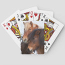 Recherche de islandais jeux de cartes Animal