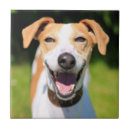 Recherche de rire carreaux Drôle