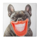 Recherche de bouledogue français carreaux Drôle